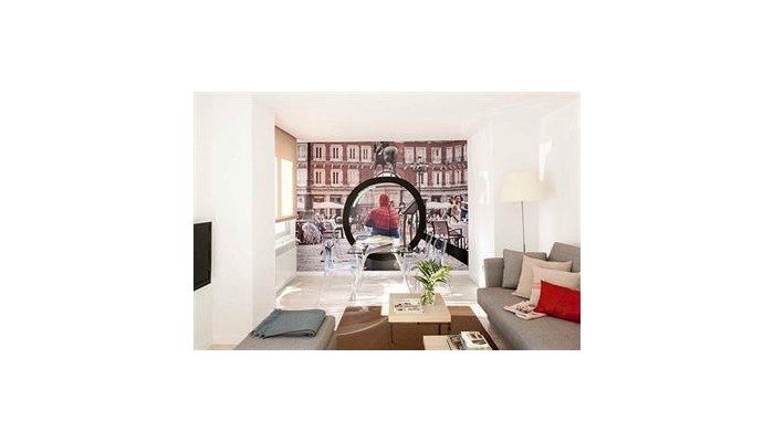 Poza pentru Eric Voekel Boutique Apartments - Atocha Suites 910-1473200378 Eric Voekel Boutique Apartments - Atocha Suites poza 20