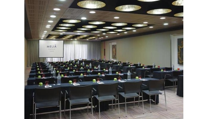 Hotel Melia Castilla poza 5