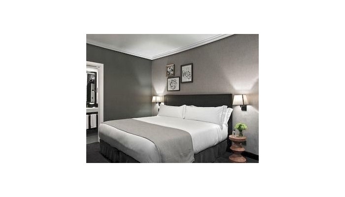 Poza pentru Hotel The Principal Madrid 740-1461547441 Hotel The Principal Madrid poza 41