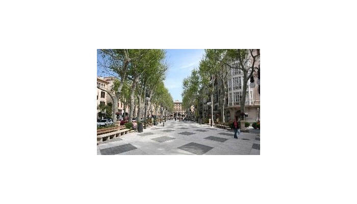 Luxury Boutique Hotel Can Alomar poza 3