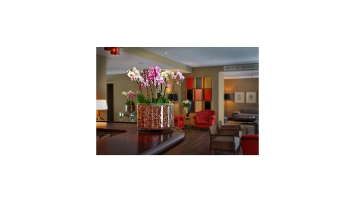 Luxury Boutique Hotel Can Alomar poza 0
