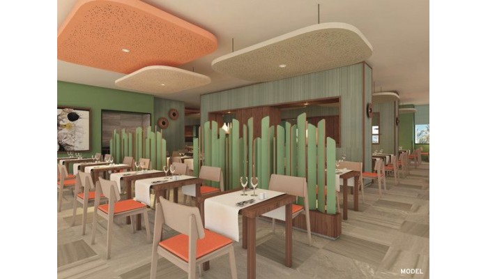 Clubhotel Riu Costa Del Sol poza 8