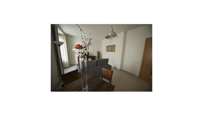 Hotel Apartamentos Gibralfaro Centro poza 11