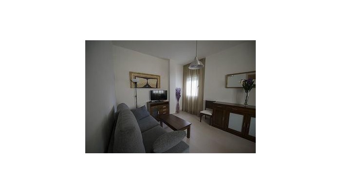 Hotel Apartamentos Gibralfaro Centro poza 21