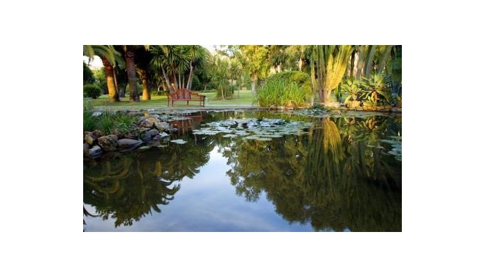 Don Carlos Leisure Resort poza 42