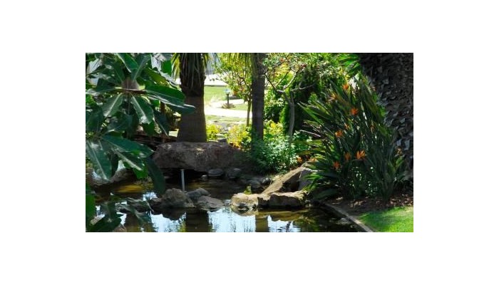 Los Monteros Hotel poza 41