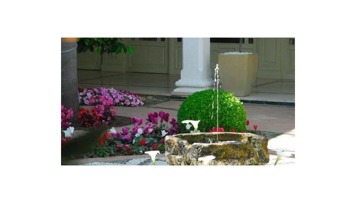 Los Monteros Hotel poza 23