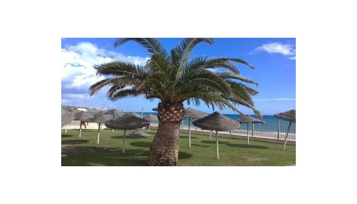 Vik Gran Hotel Costa Del Sol poza 3