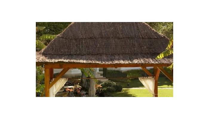 Gran Melia Don Pepe Hotel poza 37