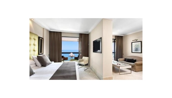 Gran Melia Don Pepe Hotel poza 5