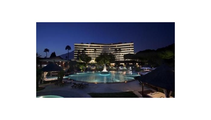 Gran Melia Don Pepe Hotel poza 3
