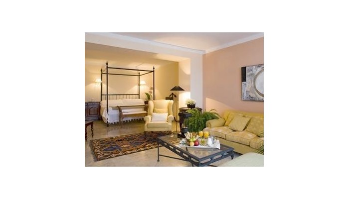 Hotel Guadalmina Spa And Golf Resort poza 18