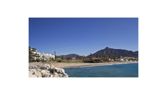 Hotel Melia Marbella Banus poza 9