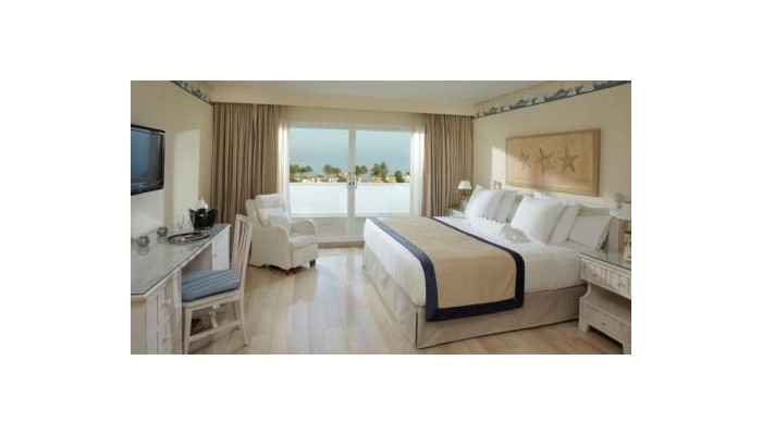 Hotel Melia Marbella Banus poza 10