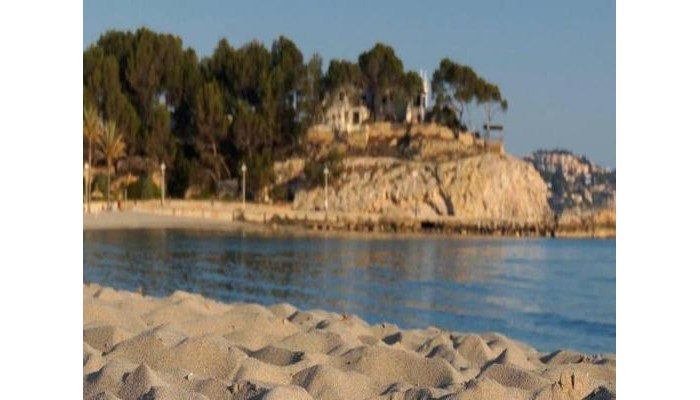 Hotel Paguera Treff Boutique Ho poza 3