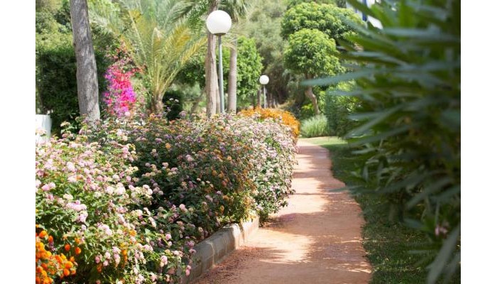 Gavimar Cala Gran Hotel & Apartments poza 28