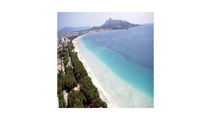 Hotel Apartamentos Siesta I poza 1