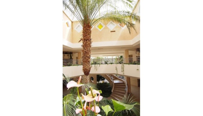 Hotel Zafiro Palace Palmanova poza 1