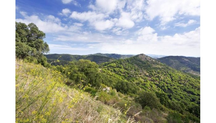 Hotel Sorrabona poza 26