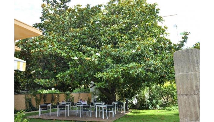 Hotel Sorrabona poza 21