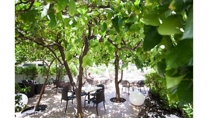 Hotel Coral California poza 12