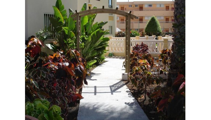 Hotel Apartamentos Los Ficus poza 3