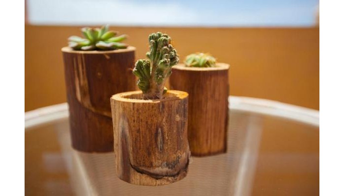 Hotel Ifa Dunamar poza 3