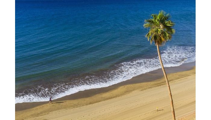 Hotel Riu Palmeras poza 9