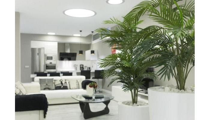 Hotel Apartamento Lagun Concha Beach poza 9