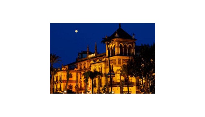 Alfonso Xiii A Luxury Collection Hotel poza 7