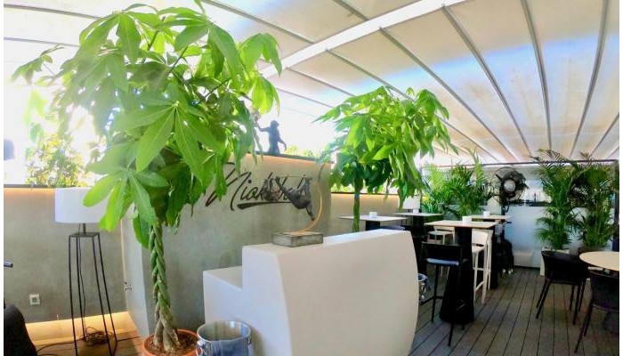 Hotel Adonis Plaza poza 8