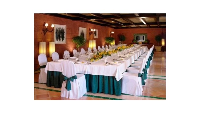 Hotel Las Madrigueras poza 22