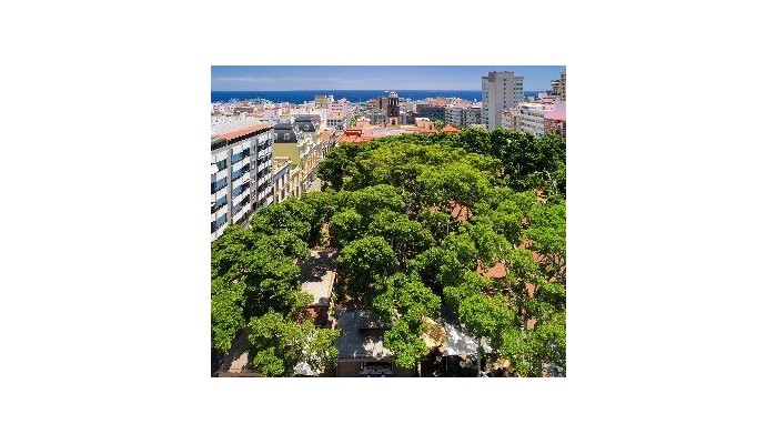 Hotel Principe Paz poza 2