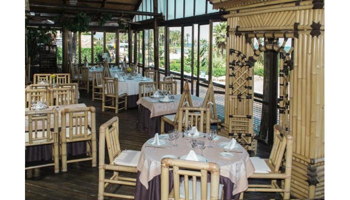 Hotel Ms Tropicana poza 3