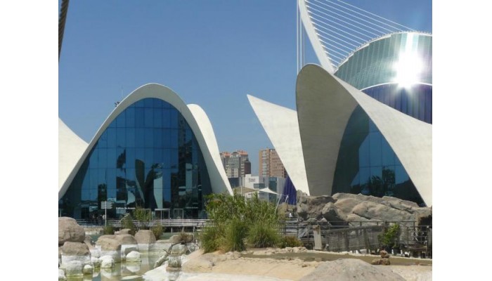 Hotel B And B Valencia poza 17