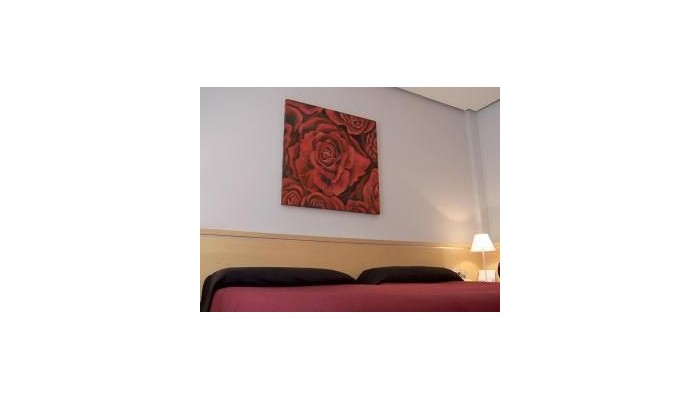 Hotel Chill Art Jardin Botanico poza 6