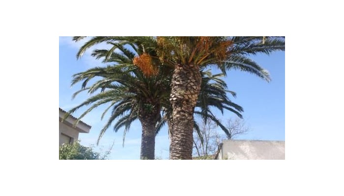 Hotel La Carreta poza 22