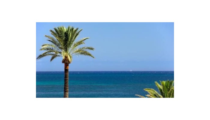 Oliva Nova Golf Beach And Golf Resort poza 25