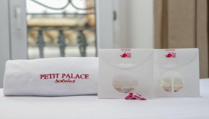 Hotel Petit Palace Germanias poza 16