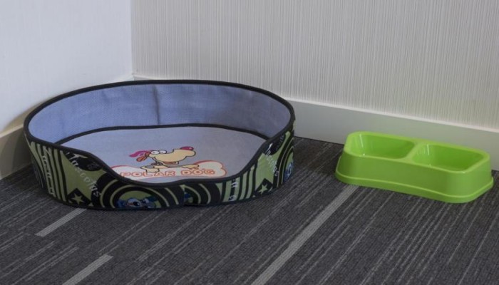 Hotel Petit Palace Germanias poza 20